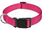 Dog Collar
