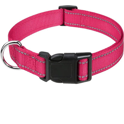 Dog Collar