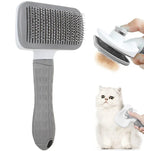 Hair Remover Brush