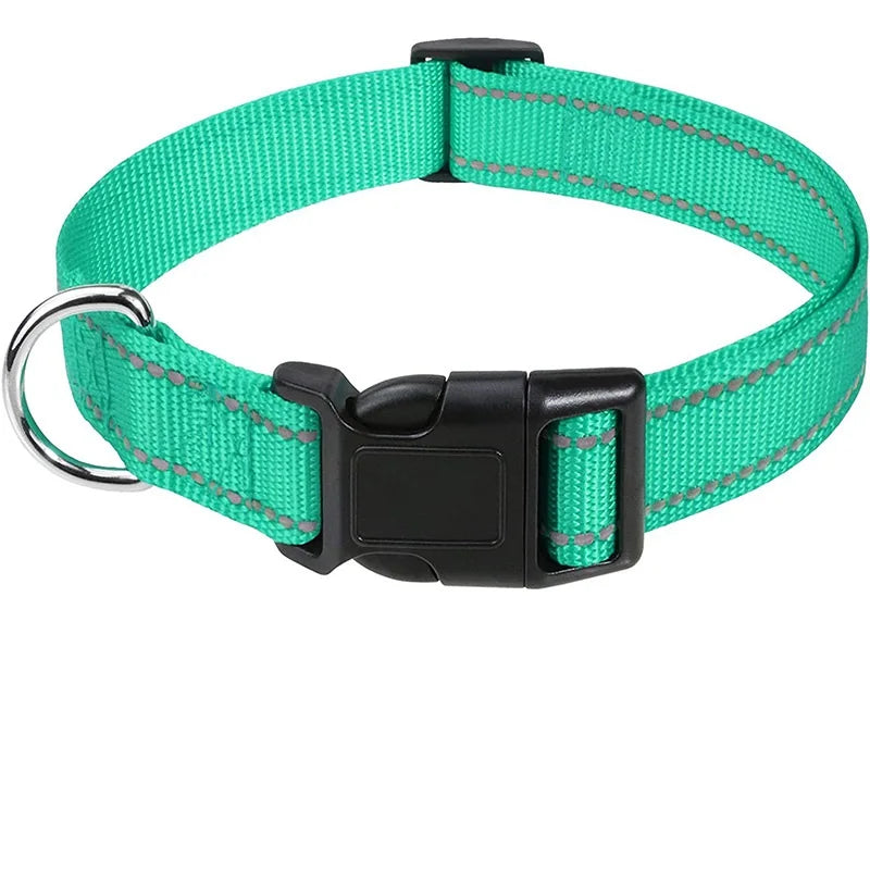 Dog Collar